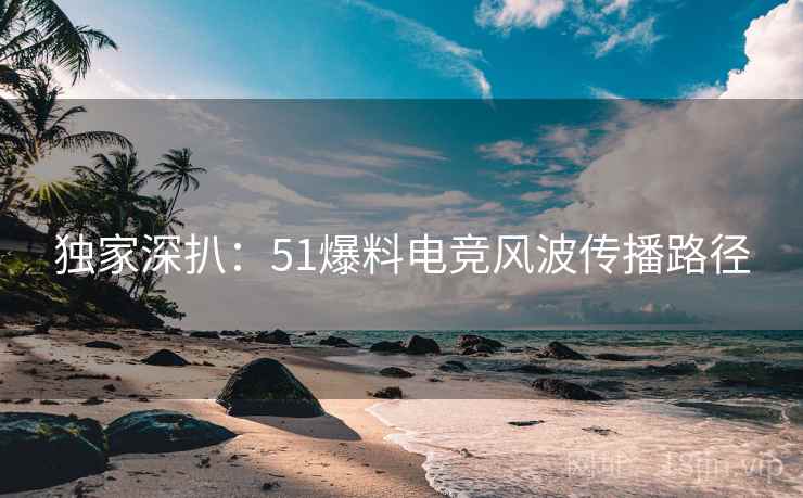 独家深扒：51爆料电竞风波传播路径