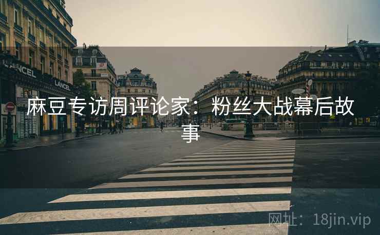 麻豆专访周评论家：粉丝大战幕后故事