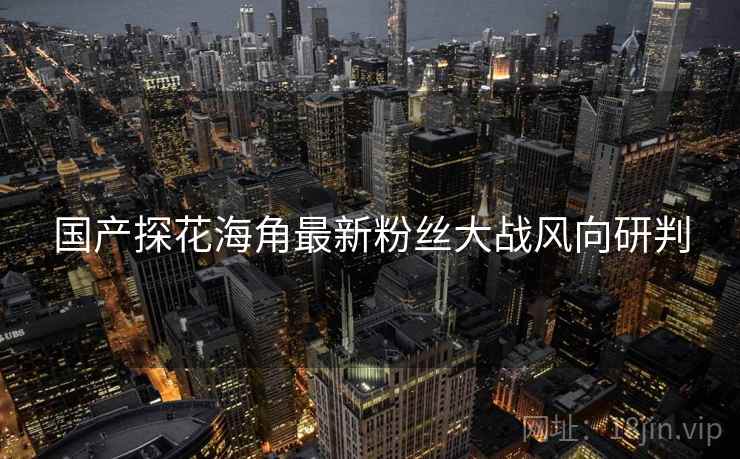国产探花海角最新粉丝大战风向研判