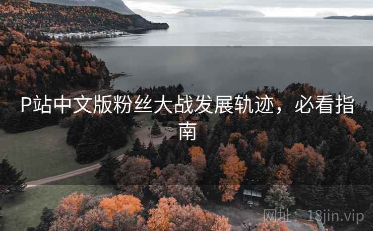 P站中文版粉丝大战发展轨迹，必看指南