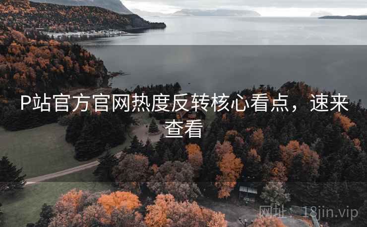 P站官方官网热度反转核心看点，速来查看