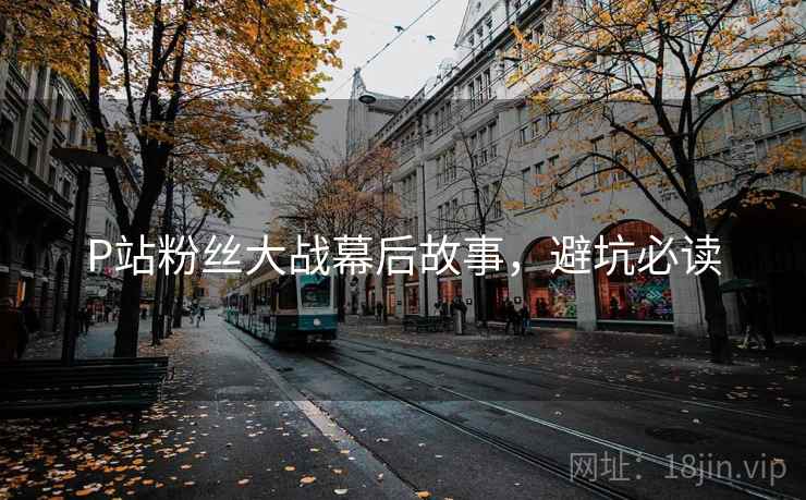 P站粉丝大战幕后故事，避坑必读