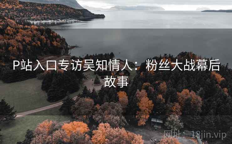 P站入口专访吴知情人：粉丝大战幕后故事