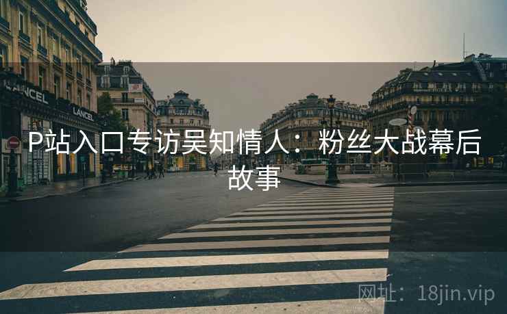 P站入口专访吴知情人：粉丝大战幕后故事