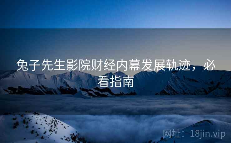 兔子先生影院财经内幕发展轨迹，必看指南