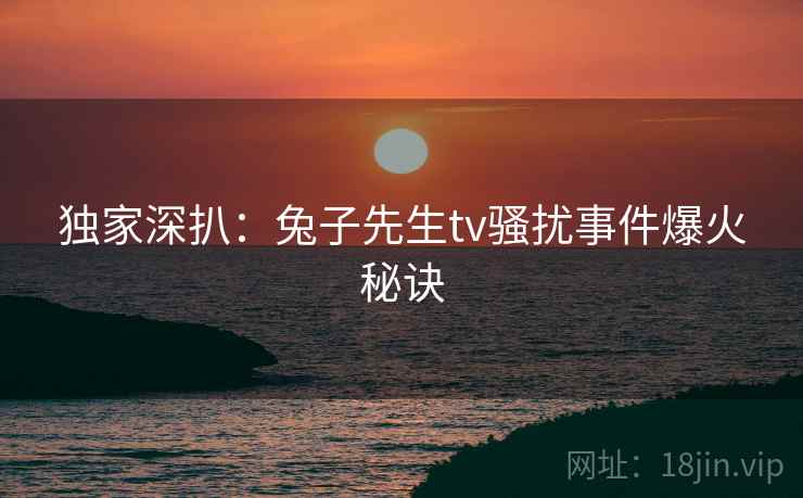 独家深扒：兔子先生tv骚扰事件爆火秘诀