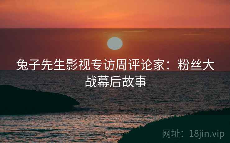 兔子先生影视专访周评论家：粉丝大战幕后故事