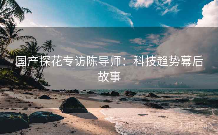 国产探花专访陈导师：科技趋势幕后故事