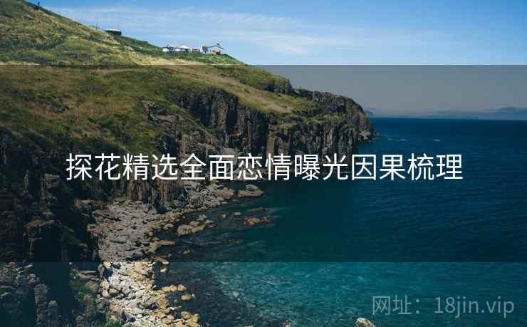 探花精选全面恋情曝光因果梳理
